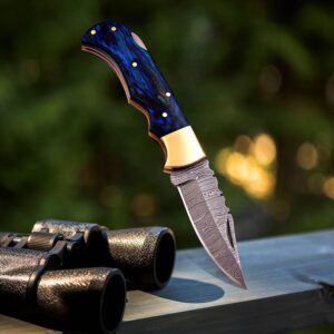 "Dragon's Claw: Handcrafted Damascus Steel Knife with Blue Wood Handle"